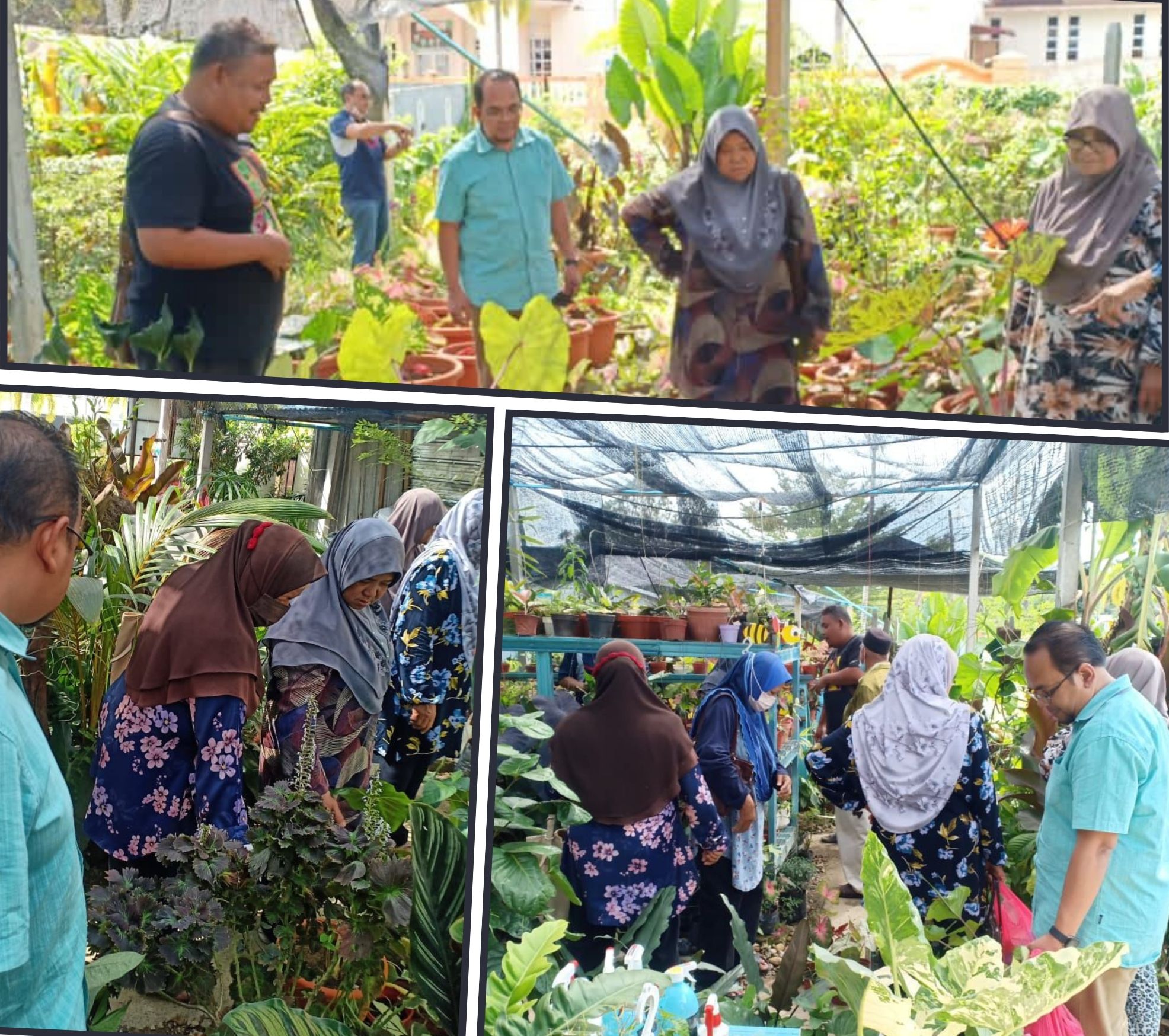 Program Menanam Pokok Kesedaran Pokok Oksigen Bumi